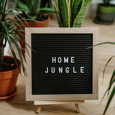 Home Jungle Schild mit Pflanzen